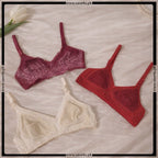 Pack of 3 Soft Dailywear Bras