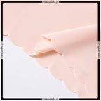 Pack of 2 Nylon Seamless Comfy Panties